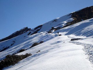 Tungnath Trek