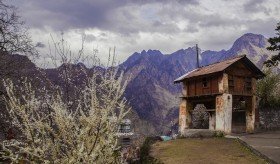Joshimath - An Important Pilgrimage Spot In India, Spreading Its Celestial Aura Around The Whole Garhwal Region